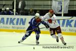 Photo hockey reportage France-Danemark : courte dsillusion 