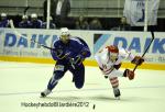 Photo hockey reportage France-Danemark : courte dsillusion 