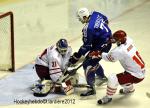 Photo hockey reportage France-Danemark : courte dsillusion 