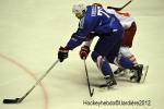 Photo hockey reportage France-Danemark : courte dsillusion 