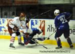 Photo hockey reportage France-Danemark : courte dsillusion 