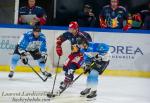 Photo hockey reportage Grenoble reprend par un match amical