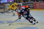 Photo hockey reportage Le derby des Zhringen pour le CP Berne