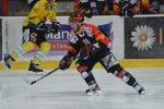 Photo hockey reportage Le derby des Zhringen pour le CP Berne
