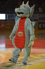 Photo hockey reportage Le derby des Zhringen pour le CP Berne