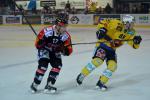 Photo hockey reportage Le derby des Zhringen pour le CP Berne