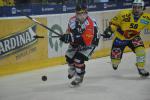 Photo hockey reportage Le derby des Zhringen pour le CP Berne