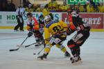 Photo hockey reportage Le derby des Zhringen pour le CP Berne