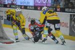 Photo hockey reportage Le derby des Zhringen pour le CP Berne