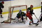 Photo hockey reportage Les Bisonnes remportent la Coupe de France
