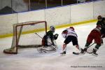 Photo hockey reportage Les Bisonnes remportent la Coupe de France