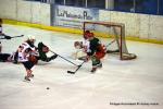 Photo hockey reportage Les Bisonnes remportent la Coupe de France