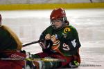 Photo hockey reportage Les Bisonnes remportent la Coupe de France