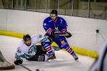 Photo hockey reportage Les Forces de l'ordre : Sentinelles