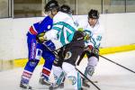 Photo hockey reportage Les Forces de l'ordre : Sentinelles