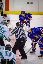 Photo hockey reportage Les Forces de l'ordre : Sentinelles