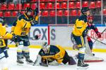Photo hockey reportage Les jeunes BDL champions de France
