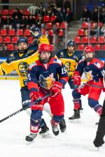 Photo hockey reportage Les jeunes BDL champions de France