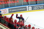 Photo hockey reportage Les jeunes BDL champions de France