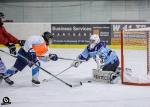 Photo hockey reportage Mini tournoi des 50 ans du hockey a Tours