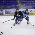 Photo hockey reportage Mini tournoi des 50 ans du hockey a Tours