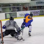 Photo hockey reportage Mini tournoi des 50 ans du hockey a Tours