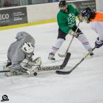 Photo hockey reportage Mini tournoi des 50 ans du hockey a Tours
