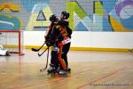 Photo hockey reportage N1 : Bon dbut d'anne pour les Griffons
