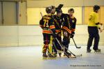 Photo hockey reportage N1 : Dpart canon pour les Griffons