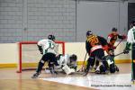 Photo hockey reportage N1 : In extremis