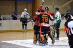 Photo hockey reportage N1 : In extremis