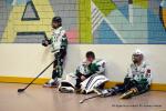 Photo hockey reportage N1 : In extremis