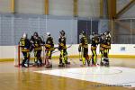 Photo hockey reportage N1 : Les Griffons  la relance