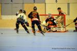 Photo hockey reportage N1 : Les Griffons dans le rythme