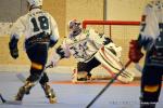 Photo hockey reportage N1 : Les Griffons dans le rythme
