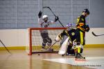 Photo hockey reportage N1 : Les Griffons en mode fuse