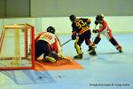 Photo hockey reportage N1 : Les Griffons en playoffs