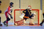Photo hockey reportage N1 : Les Griffons en playoffs