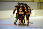 Photo hockey reportage N1 : Les Griffons en playoffs