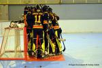 Photo hockey reportage N1 : Les Griffons en playoffs