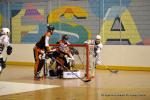 Photo hockey reportage N1 : Les Griffons solides