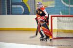 Photo hockey reportage N1 : Les Lions sont rois