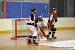 Photo hockey reportage N1 : Les Lions sont rois
