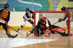 Photo hockey reportage N1 : Les Lions sont rois