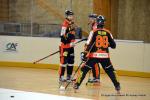 Photo hockey reportage N1 : Les Lions sont rois