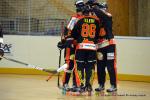 Photo hockey reportage N1 : Les Lions sont rois