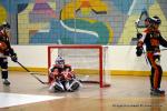 Photo hockey reportage N1 : Les Lions sont rois