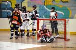 Photo hockey reportage N1 : Les Lions sont rois