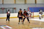 Photo hockey reportage N1 : Les Lions sont rois
