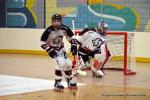 Photo hockey reportage N1 : Les Lions sont rois